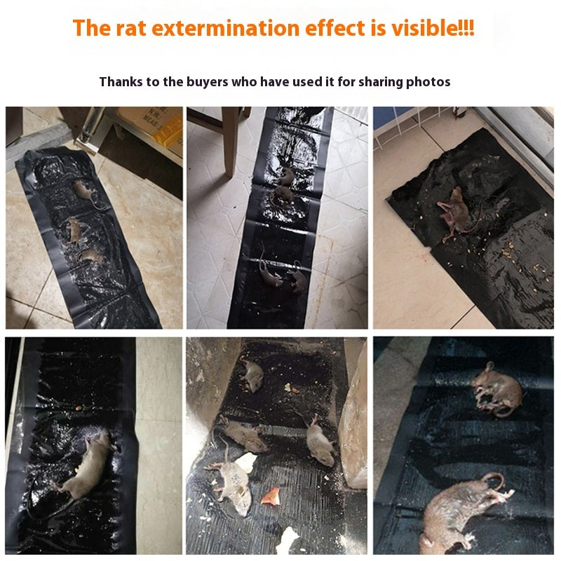 Mouse Glue Trap Strong Mouse Sticker Fantastic Rattrap Household